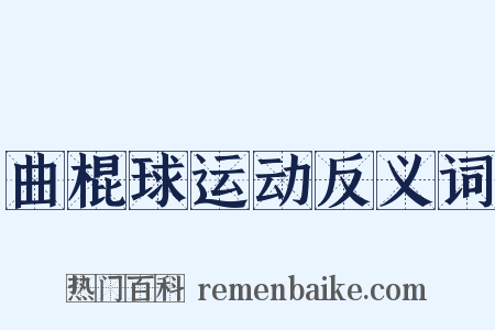 曲棍球运动反义词是什么意思的图片